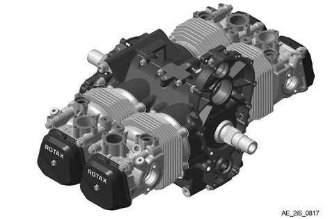 What are common Rotax engine problems