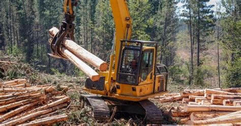 What are different types of logging