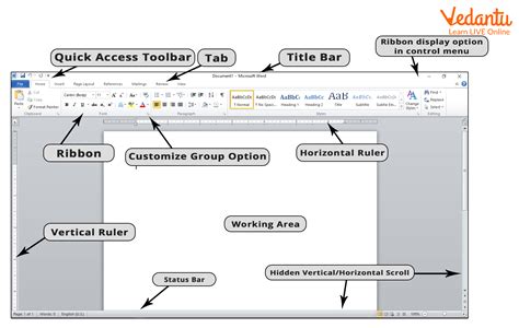 What are different types of views in ms word? - Answers