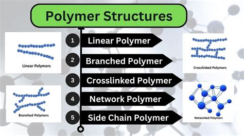 What are examples of branched polymers? - Studybuff