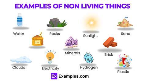 What are examples of non-technology
