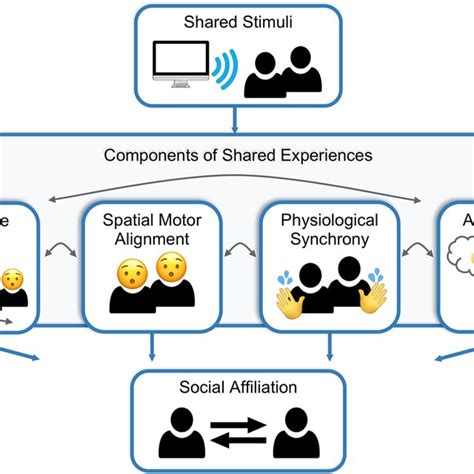 What are examples of shared experiences