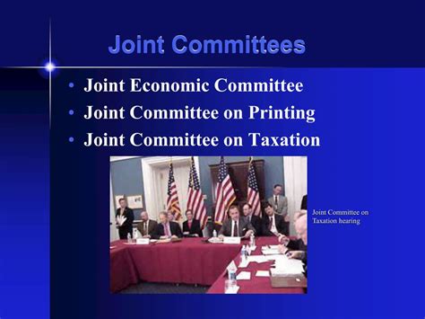 What are joint committees