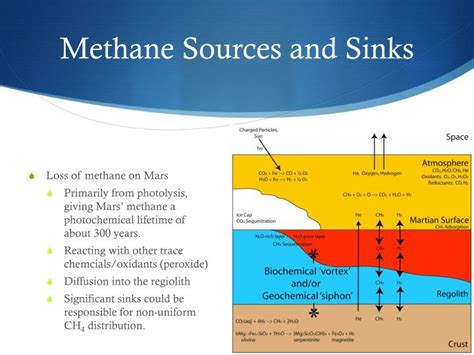 What are methane sinks? - TimesMojo