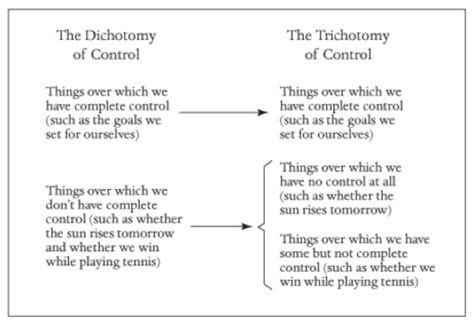 What are some examples of trichotomy in everyday life? - Quora