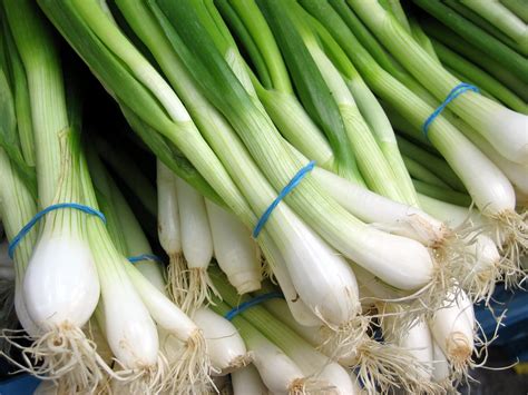 What are spring onions. Apr 21, 2020 · Spring onions are immature bulb onions that have not fully developed. They are sweeter and fresher than mature onions, and can be used in various ways to brighten up your dishes. Learn how to cook them, regrow them, and use them in recipes with scallions, green onions, or as a string. 