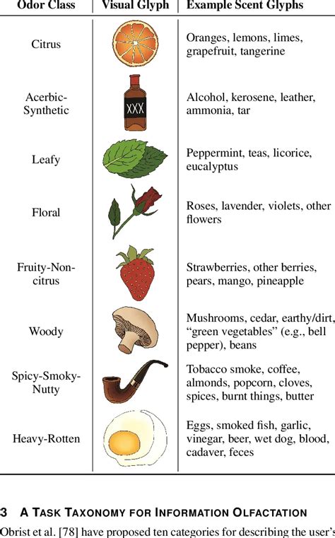 What are the 10 basic smells