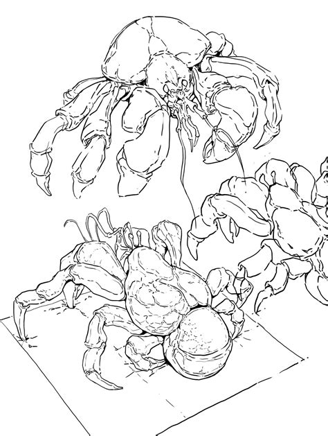 What are the 4 evolutions of flight