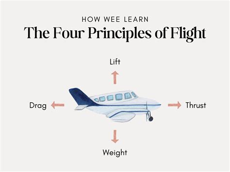What are the 4 principles of flight