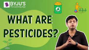 What are the 4 types of pesticides? - Alldor Garden