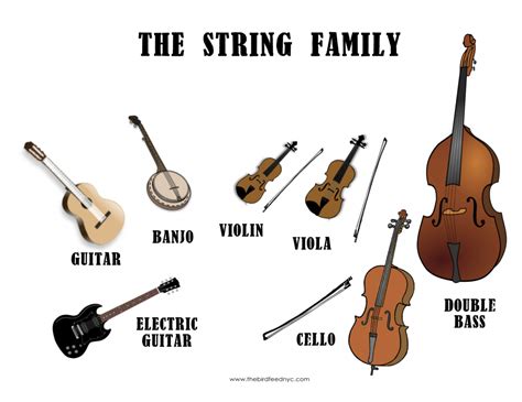 What are the 4 types of string instruments