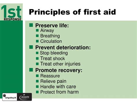 What are the 5 basic principles of first aid