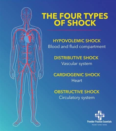 What are the 5 signs of shock?