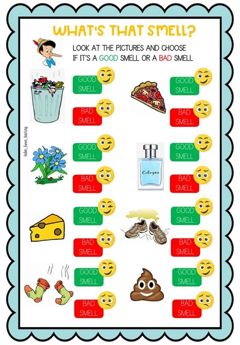 What are the 7 basic smells