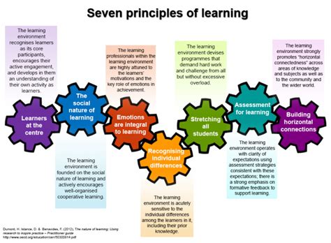 What are the 7 principles of learning