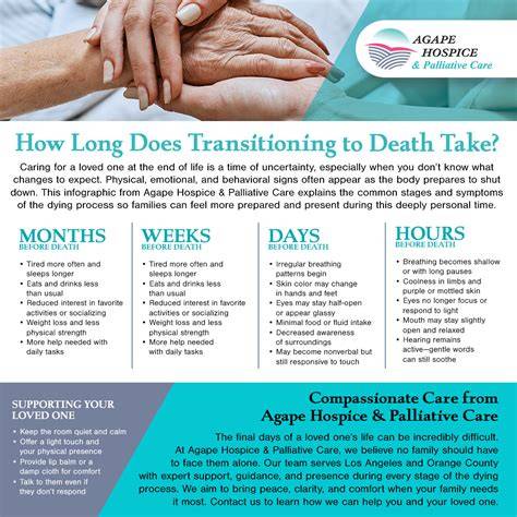 What are the 7 stages of dying.  Learn .  This can last hours or days.  Patients who begin Exp...