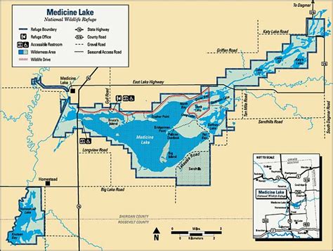 What are the Medicine Lake, MT hunting regulations? - MT FAQ