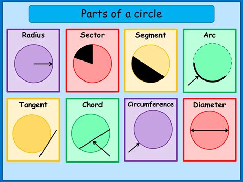 What are the Parts of a Circle A Plus Topper