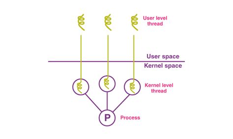 What are the Types of Process and Thread in Operating System?