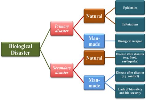 What are the causes of biological disaster? [Expert Guide!]