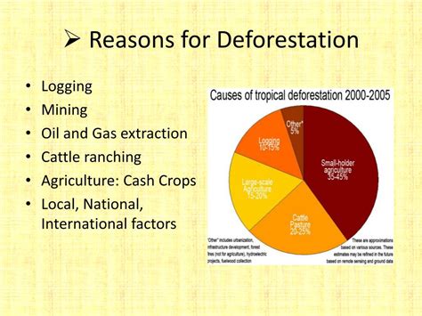 What are the causes of deforestation - api.3m.com