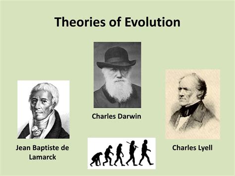 4 feb 2009 ... All existing creatures, he argued, descended from a small number of original or progenitor species. Darwin compared the history of life to a .... 