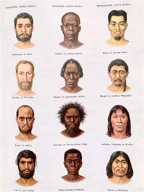 What are the different races of humans?