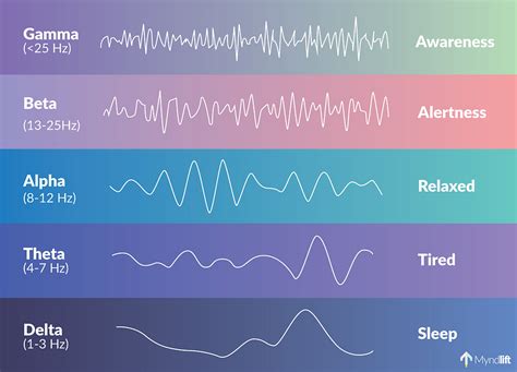 What are the different types of Neurofeedback?