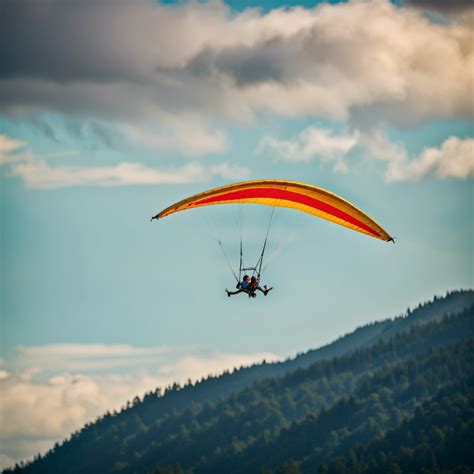 What are the different types of gliding