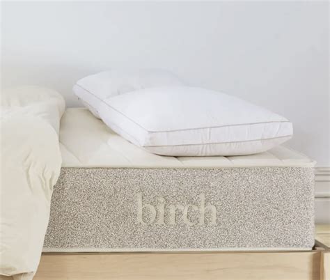 What are the eco-rest pillows made of? – Birch