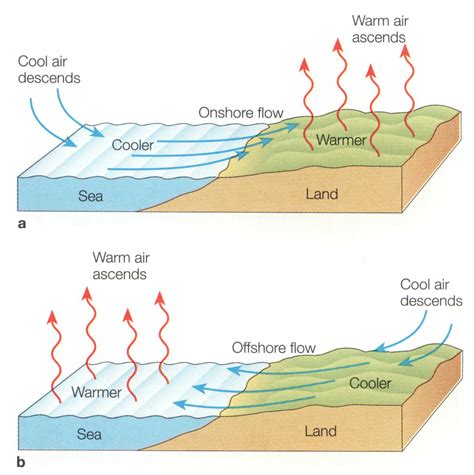 What are the effects of ocean currents? - BYJU