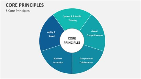 What are the five core principles
