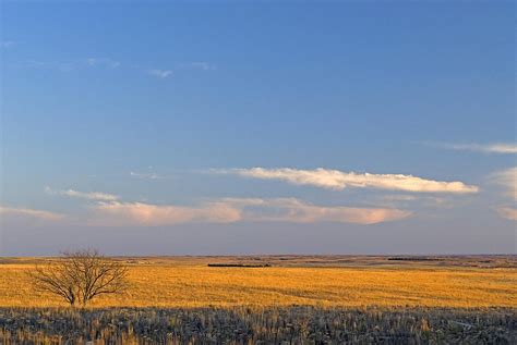 What are the high plains. Things To Know About What are the high plains. 
