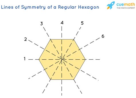 What are the lines of symmetry in a regular hexagon?