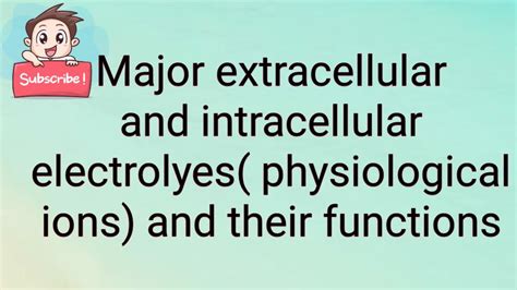 What are the main intracellular and extracellular ions?