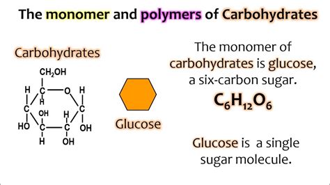 What are the monomers of carbohydrates? - Quora