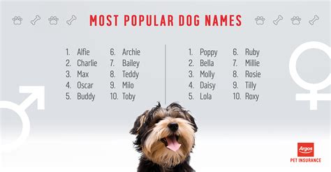 What are the most popular dog names in Illinois?