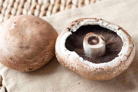 The high purine content in portobello mushrooms may