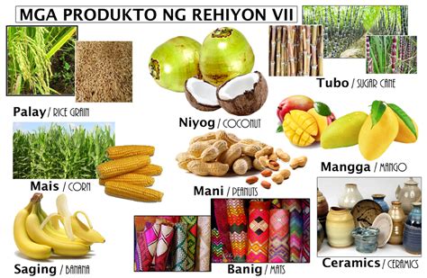 What are the products of region 7? - Answers