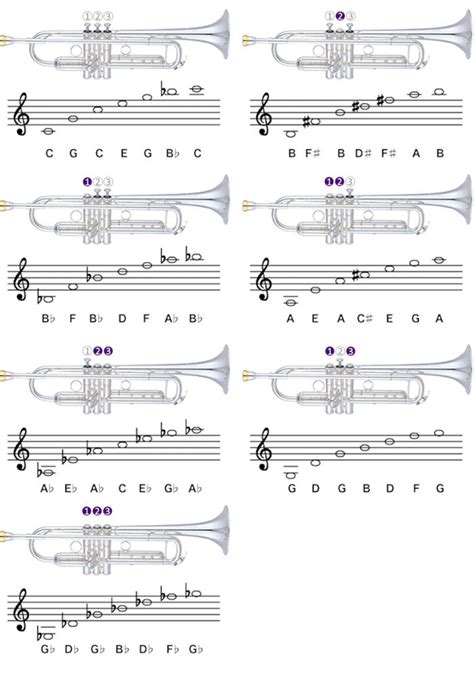 What are the sharps for trumpet? - Answers