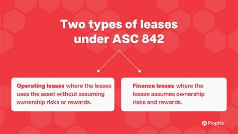 What are the two basic types of lease