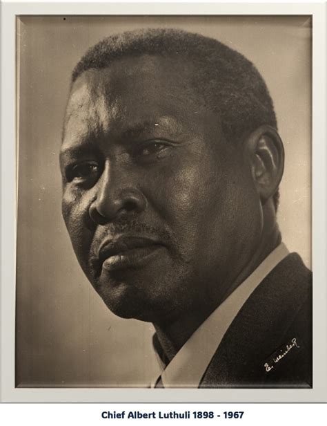 What are the values of chief albert luthuli
