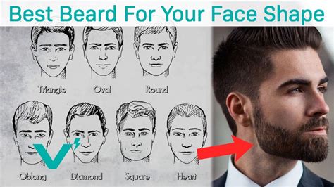 What beard suits a round face