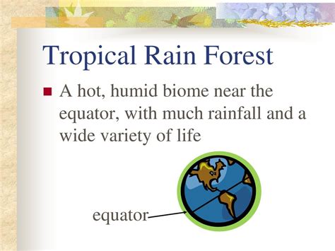 What biome is near the equator and receives a lot of rainfall each …