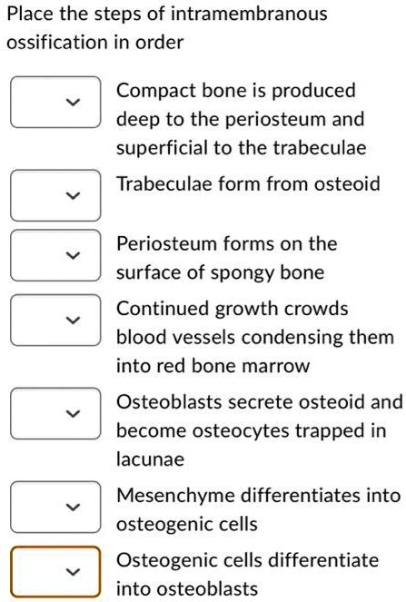 What bone cells secrete osteoid? - Answers