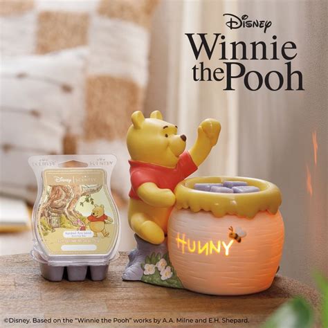 What bulb does the Scentsy Winnie the Pooh warmer take?