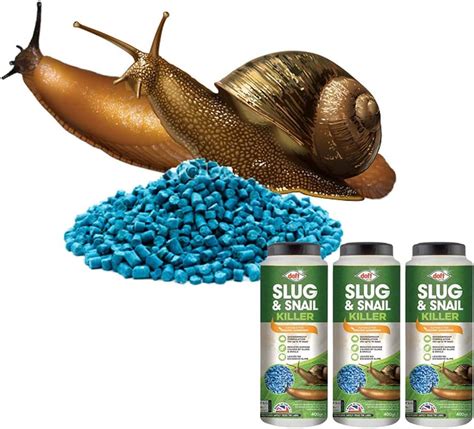 What can I use for slug bait?