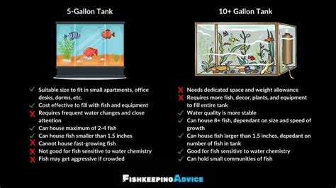 What can i do with a 5 gallon fish tank.  Convert your markdown to HTML in one ...