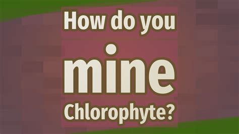 What can mine chlorophyte. Chlorophyte ore starts spawning as soon an hardmode is activated. It does grow slowly, though, so if you go look for it just after entering hardmode, you will likely only find few small patches of it. Try waiting several in-game days for it to grow a bit. Also, it can only be mined with a pretty powerful pickaxe/drill. 