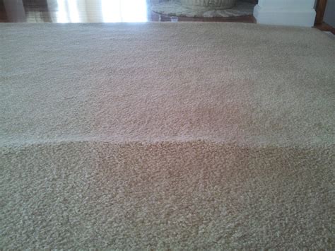 What caused my carpet to buckle or wrinkle? - Steamy Concepts